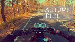 Triumph Bonneville T120 Black 2023 Model  Pure exhaust sound  ASMR [upl. by Arahs617]