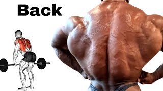 The best exercises to quickly blow up your back [upl. by Elfstan504]