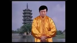 Falun Dafa  Falun Gong  Complete One Hour Exercise chinese voice over [upl. by Currey]