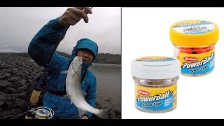 Catching stocked trout with Powerbait [upl. by Kamat378]