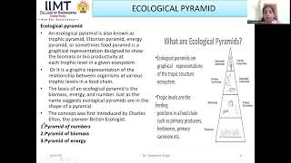 Ecological Pyramid in Ecosystem  ASH  IIMT College of Engineering  Greater Noida [upl. by Ahsinnor]