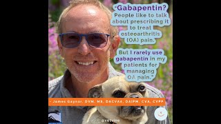 Is gabapentin a good option for treating joint pain in dogs and cats [upl. by Quirita120]