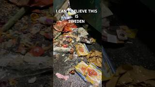 OMG 😱WHAT CAN WE DO  IS SWEDEN THIS DIRTY  MY SWEDISH LIFE [upl. by Atteuqaj]