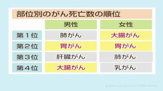 40歳をすぎたら、内視鏡検査を受けましょう [upl. by Omidyar]