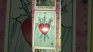 mellifluoustarot mfs tarot lyric411 idothis [upl. by Lull]