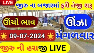 Jeera na bhav  09072024  જીરું ના ભાવ2024  live cumin trading in APMC  commodity Trend [upl. by Nallad]