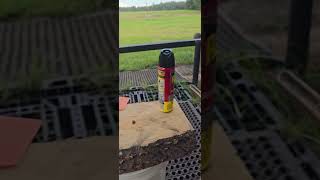 Best and most fun way to kill flies Blow Torch [upl. by Gnex850]