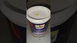 Berger paints Preparing Sunny Heart amp Blessing paint painting trending viralvideo ytshots [upl. by Ayikin]