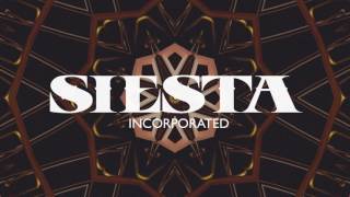 siesta samsa x dismissedfit [upl. by Wesle]