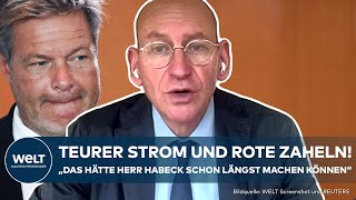 DEUTSCHLAND quotDas hilft Unternehmen nichtquot  So will Robert Habeck Industriestrom subventionieren [upl. by Ennagroeg795]