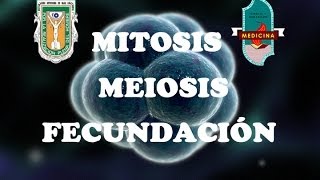 Mitosis Meiosis y Fecundación [upl. by Aket]