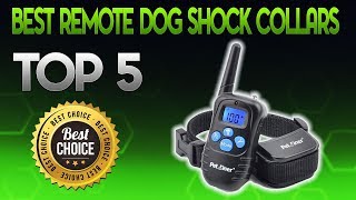 Best Remote Dog Shock Collars 2020  Remote Dog Shock Collar Review [upl. by Enytsirhc285]