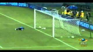 Golazo de Guarin Colombia vs Venezuela 1  1 Eliminatorias 2014 HD [upl. by Nitsa]