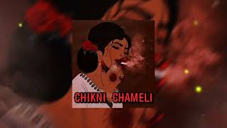 CHIKNI CHAMELI sped up [upl. by Brucie]