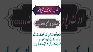 Tib e nabviطب نبوی ادرک پودینہ لہسن اناردانہshortyoutube shortshortsvideo  MN voice [upl. by Nnyllatsyrc]