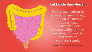 Nieren bijnieren en lekkende darm [upl. by Ahsiral821]