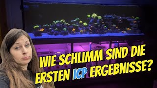 Brandneues UPDATE 😱 zum 1000 l Meerwasseraquarium ICP Ergebnisse NEUE FISCHE und Neues zur TECHNIK [upl. by Yeliak]