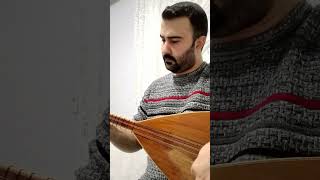 Edremitin Gelini Bağlamatürkülerınstrumentalmusictrendinglikenewsongreels [upl. by Black]