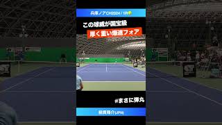 国宝級フォアハンド【兵庫ノアCH20241R】綿貫陽介JPN shorts テニス tennis [upl. by Aurelea]