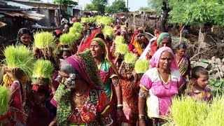 Banjara Teej festival celebrations at Nizamabad  Jai Sevalal Tv [upl. by Gemmell619]