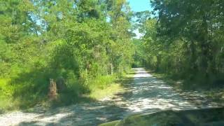 Montgomery TX Land for Sale  45 Minutes N of Houston [upl. by Tibbetts]