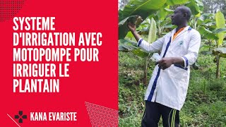 SYSTEME DIRRIGATION AVEC MOTOPOMPE POUR IRRIGUER LE PLANTAIN [upl. by Chak696]