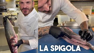 COME SFILETTARE UNA SPIGOLA  Chef Roberto Di Pinto [upl. by Naresh]