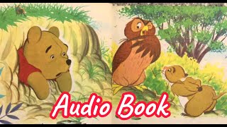 Audio Book Winnie the Pooh Stuck [upl. by Ihcalam]