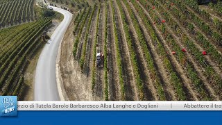 CONSORZIO DI TUTELA BAROLO BARBARESCO ALBA LANGHE E DOGLIANI [upl. by Murial]