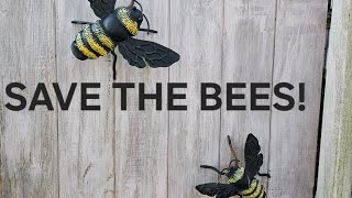 SAVE THE BEES [upl. by Akered]