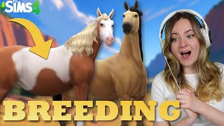 REALISTIC BREEDING SPIRIT AND RAIN IN SIMS 4  Horse Ranch  Pinehaven [upl. by Dorie]