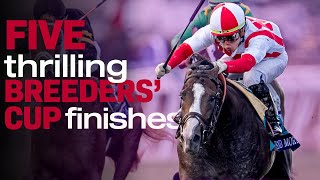 SO CLOSE 5 Thrilling Breeders Cup Finishes at Santa Anita Park [upl. by Tarsuss619]