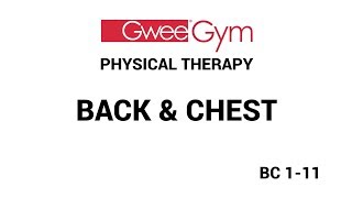 Back amp Chest Exercises for Physical Therapy with the Gwee Gym [upl. by Reema342]