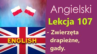 Język Angielski  №107 Zwierzęta drapieżne gady Angielski dla Polaków Słowa tematyczne [upl. by Airdnat]