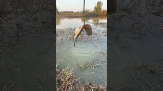 Can a simple fishing rod like this catch fish fishingvideo carpfishing [upl. by Felton]