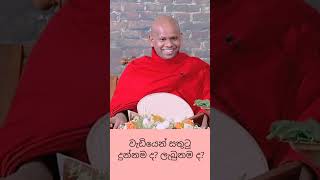 වැඩියෙන් සතුටු දුන්නමද 💫ලැබුනමද💫bana banakatha dharmadeshana welimadasaddhaseelathero [upl. by Palermo]