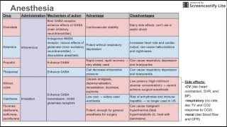 Anesthetics [upl. by Cate]