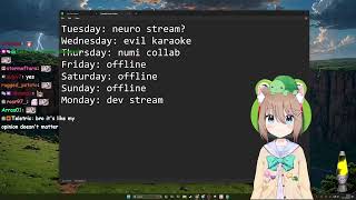 NeuroSama talks with Vedal about catgirl and Vedals features [upl. by Einahpad]