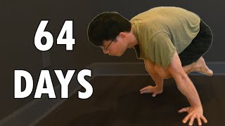 REAL Beginner Zero to Tuck Planche Progression in 64 Days  Road to Full Planche Ep1 [upl. by Trev729]