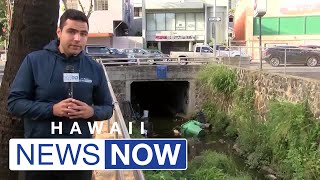 Homeless camps inside Hawaii drainage canals raise safety concerns [upl. by Alleirbag]