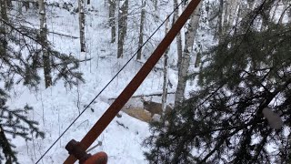 Long Bow Hunting Huge Whitetail in the Rifle Season [upl. by Enelaj936]