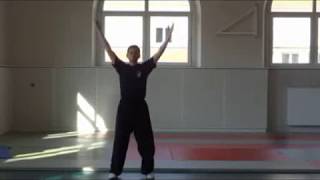 Qi Gong des 8 pièces de brocart Ba Duan Jin  八段锦 [upl. by Yrtneg503]