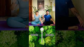 66 breathing for relaxation breathingexercises breathwork breathing stressrelief relaxing [upl. by Gabriella]