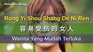 Rong Yi Shou Shang De Ni Ren  容易受傷的女人  雷婷 Lei Ting Wanita Yang Mudah Terluka [upl. by Craw938]