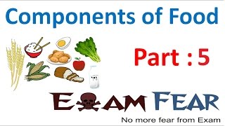 Biology Components of Food Part 5 Test for Protein in Food Class 6 VI [upl. by Cima]