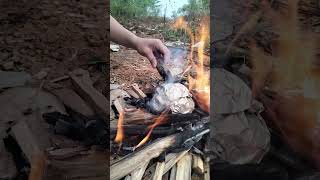 Grilling eggs in aluminum foil bushcraft [upl. by Aicitel]