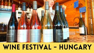 WINE FESTIVAL  Hungary  Famous wine market  Balaton fured [upl. by Gladine]