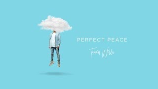 Tauren Wells  Perfect Peace Visualizer [upl. by Pratt977]