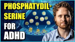 Phosphatidylserine Benefits For ADHD The Research Explaining Why [upl. by Candie]