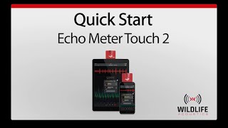 Echo Meter Touch 2 1 Quick Start  Record Bat Sounds [upl. by Abigail]